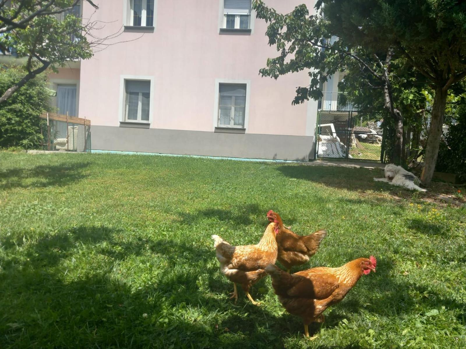 Casa Sergio Гросио Екстериор снимка
